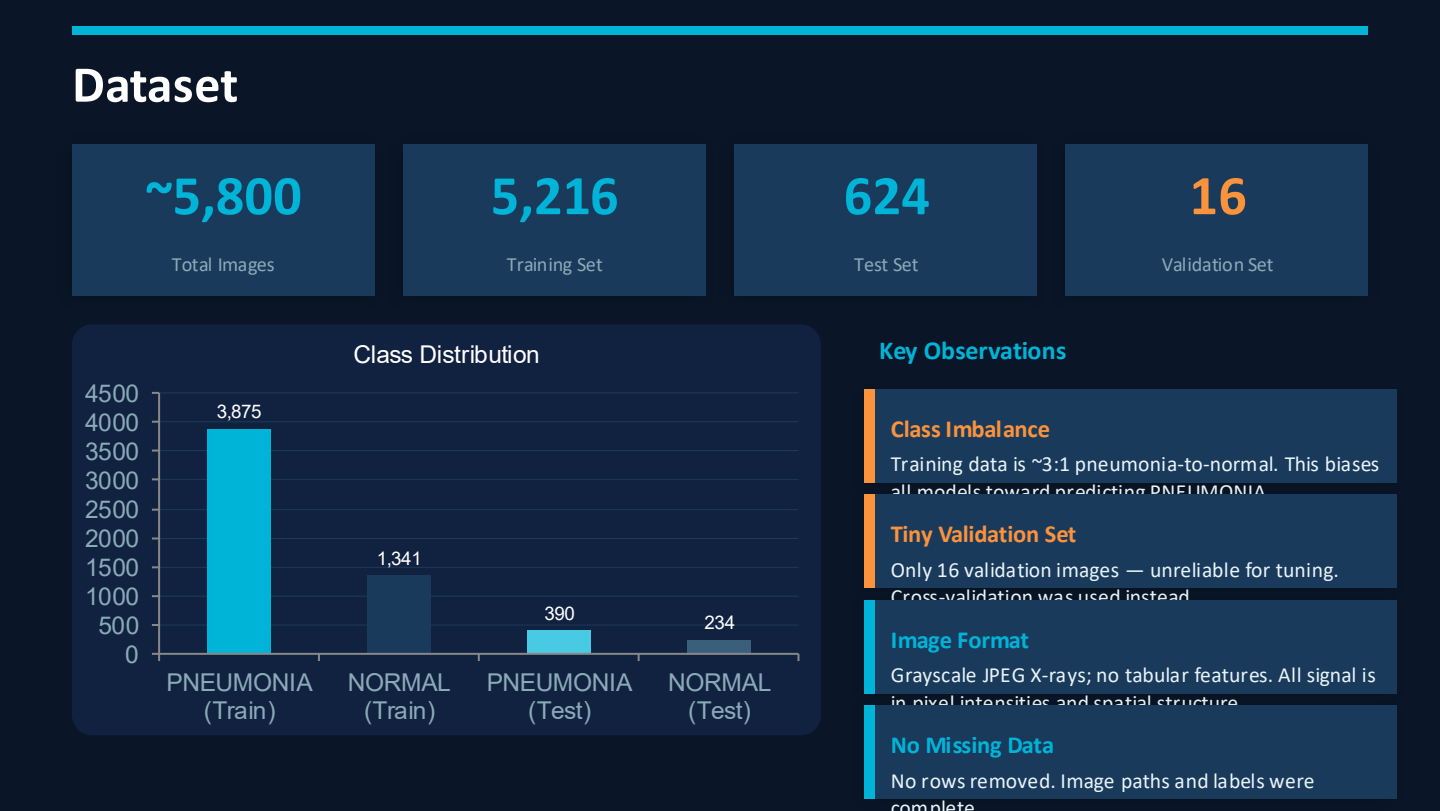 Dataset overview